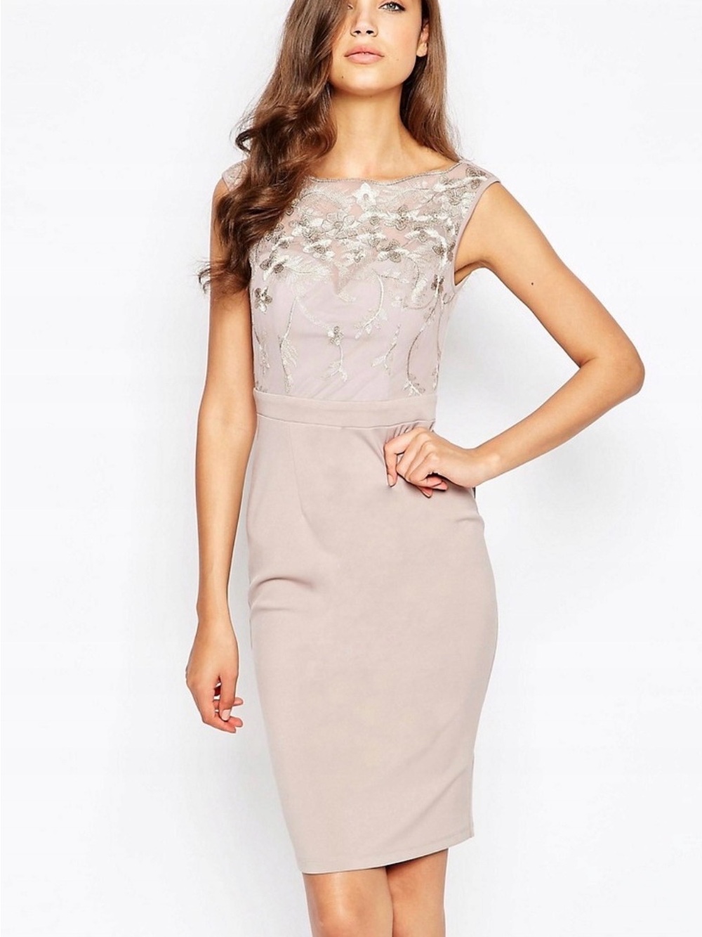 Little Mistress Blush Embroidered Sheer Yoke Pencil Dress